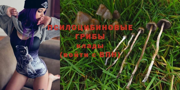 a pvp Абдулино