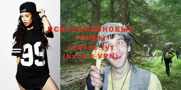 a pvp Абдулино