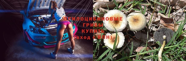 стафф Абаза