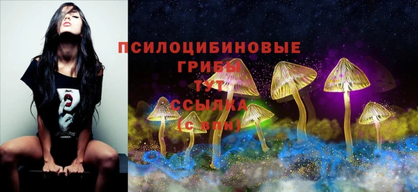 стафф Абаза
