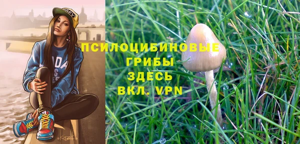 a pvp Абдулино