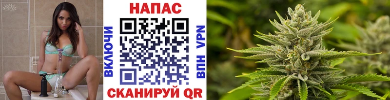 Бошки марихуана ГИДРОПОН  что такое   Костомукша 